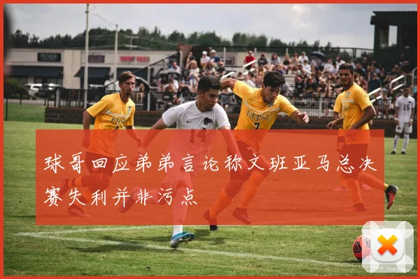 球哥回应弟弟言论称文班亚马总决赛失利并非污点